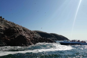 Lima: Ballestas Islands, Winery and Nazca Lines Private Tour