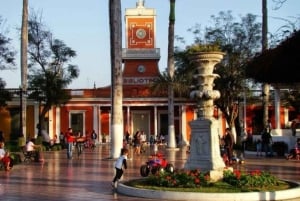 Lima: Den bästa street food-turen med en lokal guide