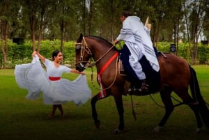 Lima: Buffet lunch, dance show : Peruvian Paso Horses :