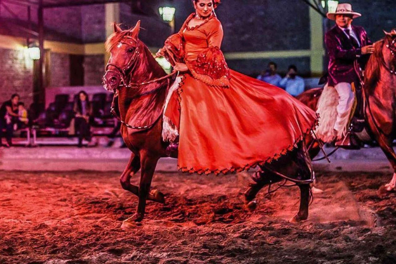 Lima: Almuerzo buffet, espectáculo de baile de Caballos Peruanos de Paso.