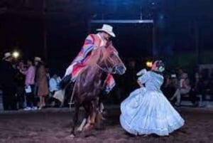 Lima: Buffet lunch, Peruvian Paso Horses dance show.