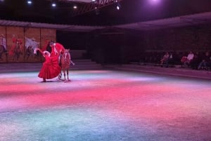 Lima: Buffet lunch, Peruvian Paso Horses dance show.