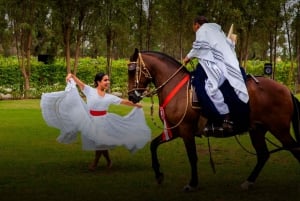 Lima: Buffet Lunch , dance show | Peruvian Paso Horses