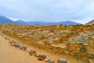 Lima: Caral Full-Day Private Excursion with Meals