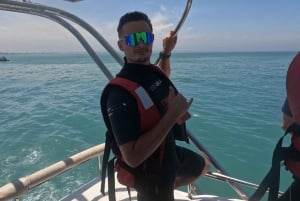 Lima: Check out Isla Palomino, explore 4 Callao Islands, and swim with sea lions - tickets included