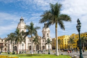 Lima: Dagstur til byens højdepunkter