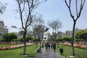 Lima: Byrundtur + 360° panoramabuss