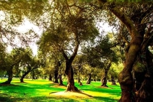 Lima: City Tour of Miraflores and Historic Center with Ice Cream and Pisco