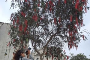 Lima: City Walking Tour with Catacombs and Fruit Tasting
