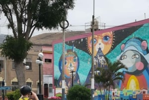 Lima in bici: Miraflores, Barranco e penisola