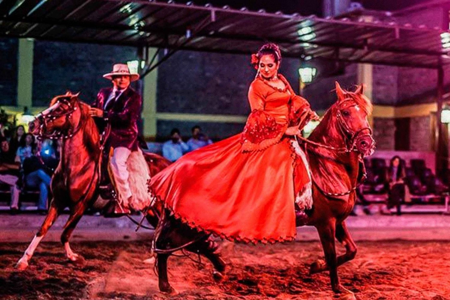 Lima: Diner & paso paarden show