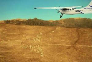 Lima: Flight over the Nazca Lines with bus transfer