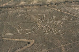 Lima: Flight over the Nazca Lines with bus transfer