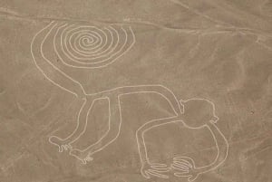 Lima: Flight over the Nazca Lines with bus transfer