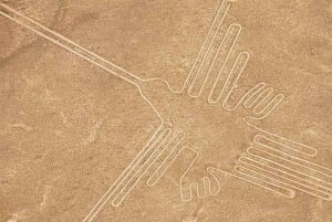 Lima: Flight over the Nazca Lines with bus transfer