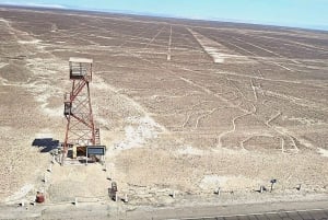 Lima: volo sulle linee di Nazca - tour in buggy e sandboarding a Huacachina
