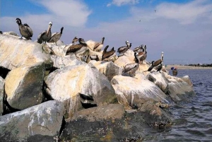 Lima: en hel dag i det monumentale Callao