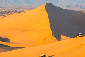 From Lima: Paracas and Huacachina Oasis Full Day Tour