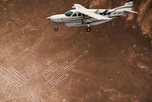 LIMA|| Excursión de día completo a las Líneas de Nazca+Oasis de Huacachina