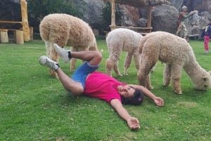 Lima Gay Underground Nightlife Tour: Resistance & Pleasure