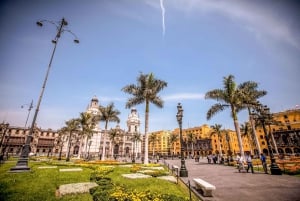 Lima: Halvdagstur till koloniala Lima och Larco-museet