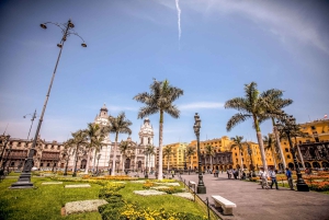 Lima: Half-Day Colonial Lima and Larco Museum Tour