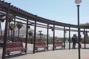 リマ：ガイド付き歴史地区電動自転車ツアー