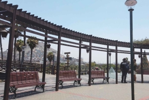 Lima: Historic Center E-Bike Tour with Guide