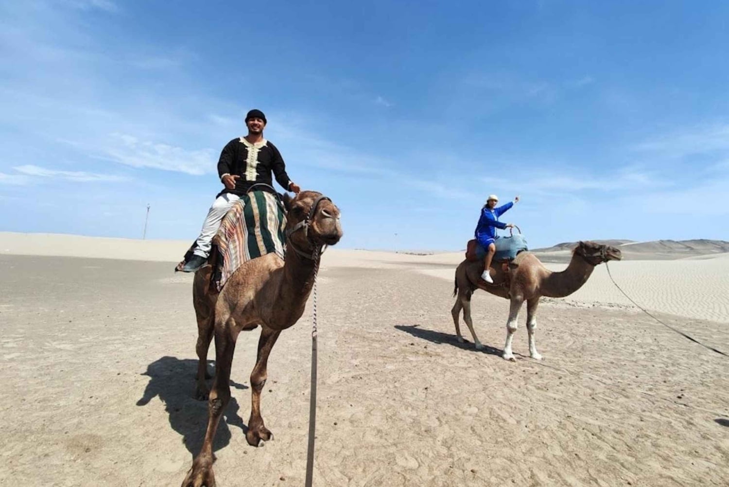 Lima: Ica Camel Ride + Huacachina + 'Desert Adventure' Pool