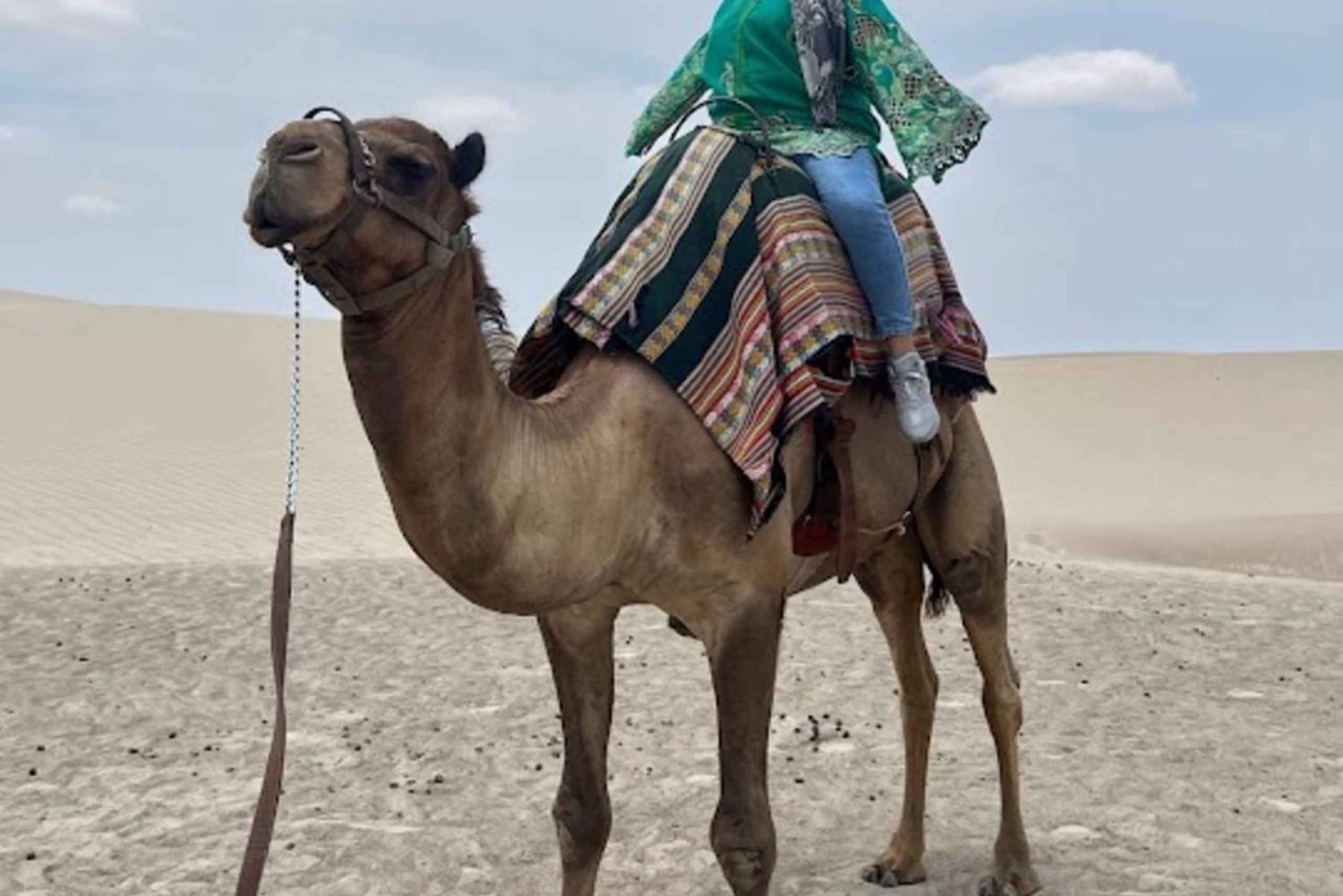 Lima: Ica Camel Ride + Huacachina + 'Desert Adventure' Pool