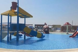 Lima: Ica Camel Ride + Huacachina + 'Desert Adventure' Pool