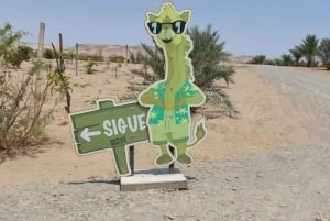 Lima: Ica Camel Ride + Huacachina + 'Desert Adventure' Pool