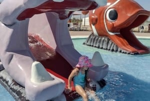 Lima: Ica Camel Ride + Huacachina + 'Desert Adventure' Pool