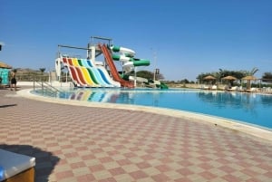 Lima: Ica Camel Ride + Huacachina + 'Desert Adventure' Pool