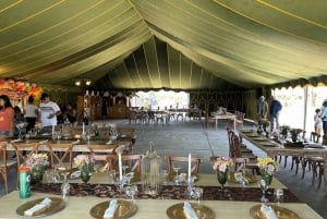 Lima: Ica Camel Ride + Huacachina + 'Desert Adventure' Pool