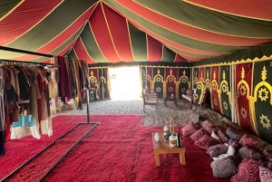 Lima: Ica Camel Ride + Huacachina + 'Desert Adventure' Pool