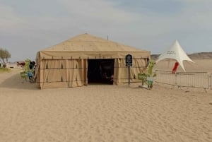 Lima: Ica Camel Ride + Huacachina + 'Desert Adventure' Pool