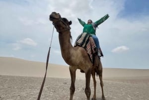Lima: Ica Camel Ride + Huacachina + 'Desert Adventure' Pool