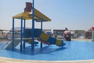 Lima: przejażdżka na wielbłądzie Ica + Huacachina + basen 'Przygoda na pustyni'.