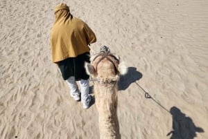 Lima: przejażdżka na wielbłądzie Ica + Huacachina + basen 'Przygoda na pustyni'.