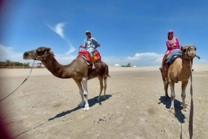 Lima: przejażdżka na wielbłądzie Ica + Huacachina + basen 'Przygoda na pustyni'.