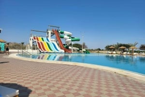 Lima: przejażdżka na wielbłądzie Ica + Huacachina + basen 'Przygoda na pustyni'.