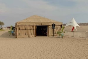 Lima: przejażdżka na wielbłądzie Ica + Huacachina + basen 'Przygoda na pustyni'.