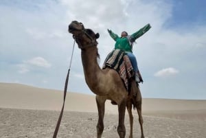 Lima: przejażdżka na wielbłądzie Ica + Huacachina + basen 'Przygoda na pustyni'.