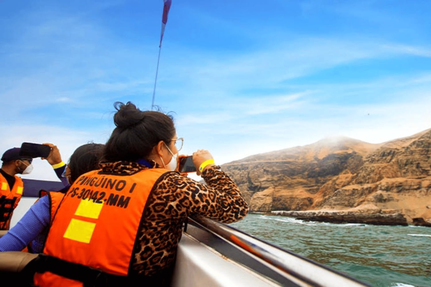 Lima | Excursión Islas Palomino | Nado con Leones Marinos