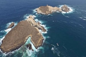 Lima | Tour des îles Palomino | Nager avec les lions de mer