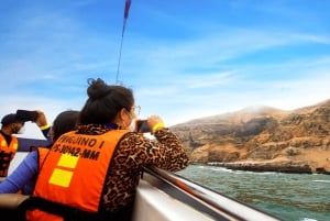 Lima | Excursión Islas Palomino | Nado con Leones Marinos