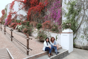 Lima: biglietto d'ingresso al Museo Larco e tour guidato con servizio di prelievo