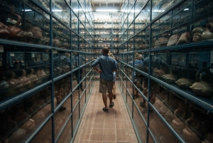 Lima: Ticket de entrada al Museo Larco