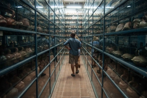 Lima: Larco Museum Entry Ticket